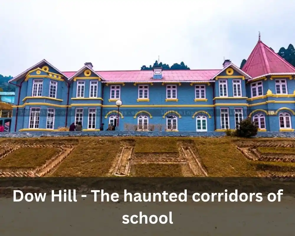 Down Hill- The Haunted Corridors School