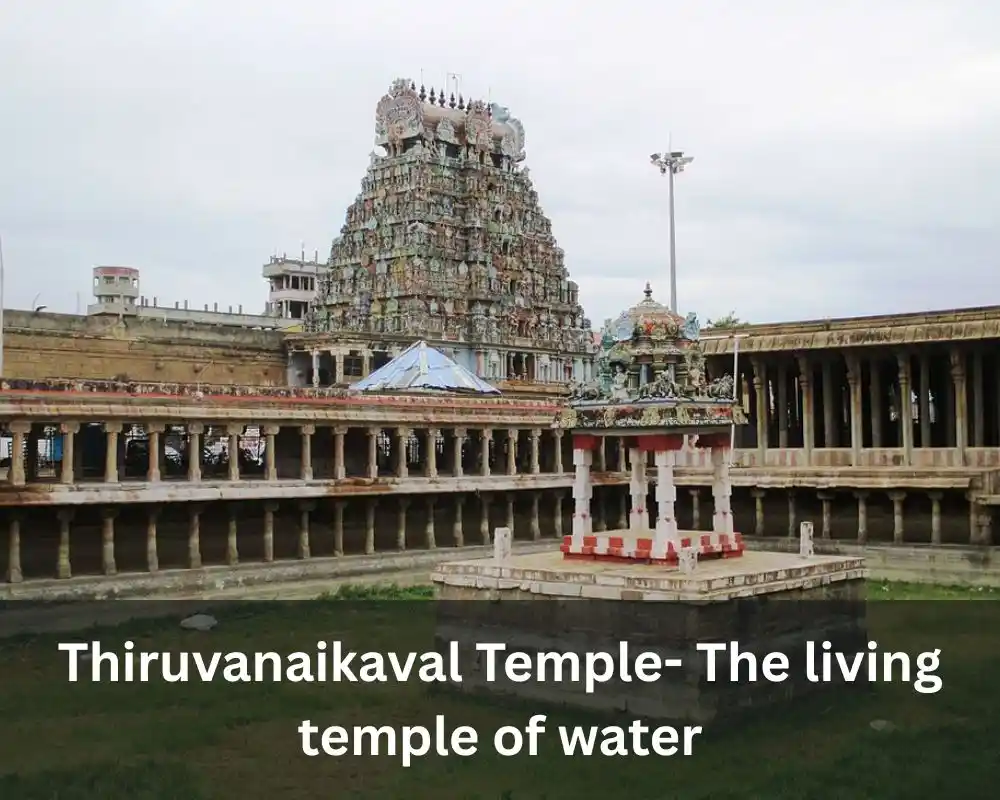 Thiruvanaikaval Temple- The living temple of water